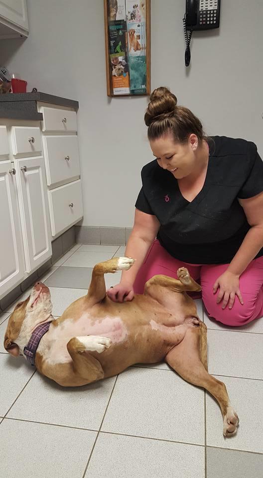 A veterinarian cuddling a dog