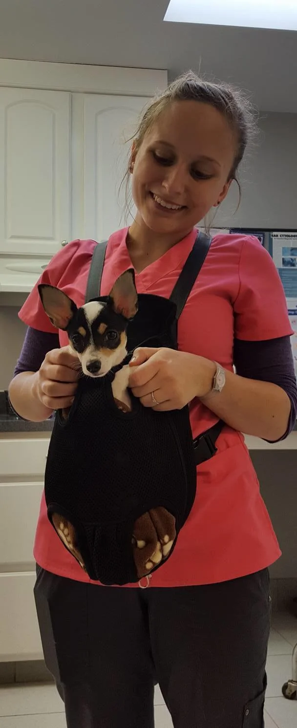 A veterinarian holding a puppy